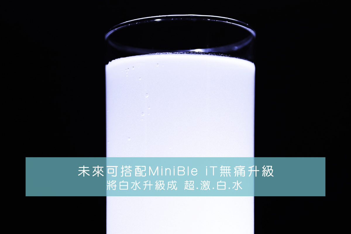 MiniBlei 26