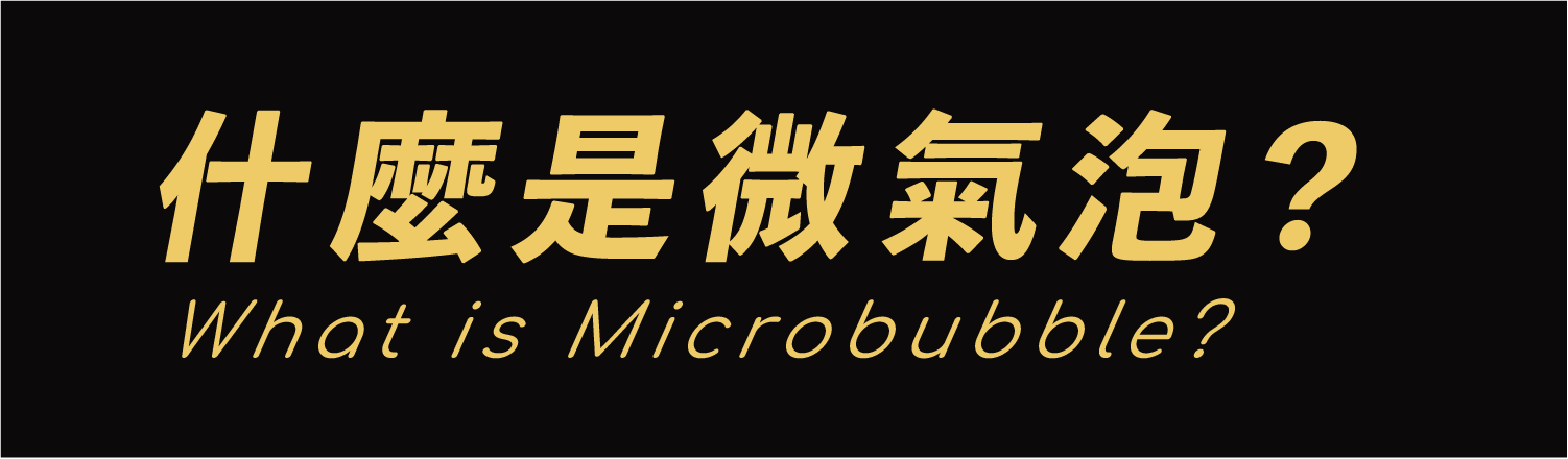 20240129 MiniBle QS銷售頁
