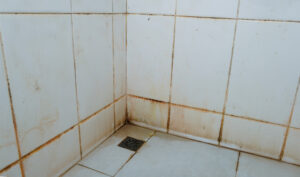 dirt floor stains walls corners bathroom tiles white slippery may